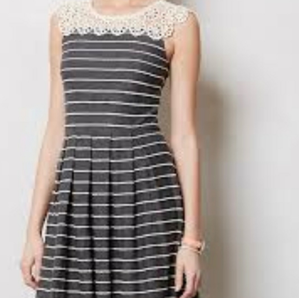 Anthropologie Bordeaux Navy and White Small Dress